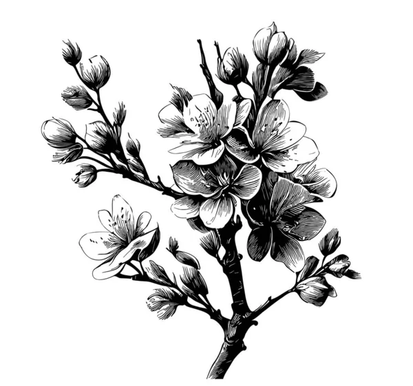 Wild Cherry Sakura Schets Hand Getekend Doodle Stijl Illustratie — Stockvector