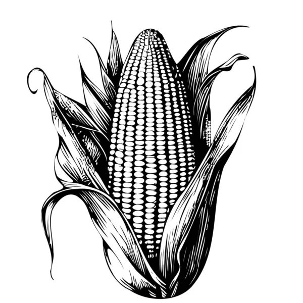 Esboço Milho Mão Desenhada Estilo Doodle Ilustração Vetorial Vegan — Vetor de Stock