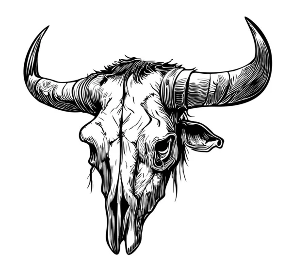 ドアスタイルのイラストで描かれた牛の頭蓋骨のスケッチの手 — ストックベクタ