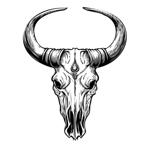 Boceto Cabeza Cráneo Vaca Dibujado Mano Ilustración Estilo Garabato — Vector de stock