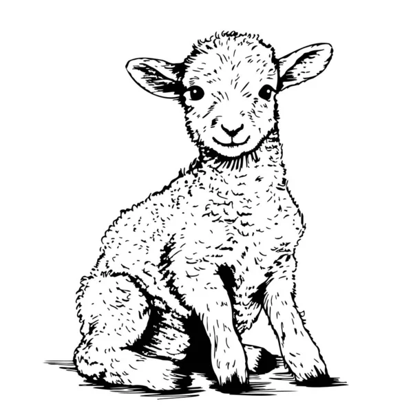 Seated Lamb Sketch Hand Drawn Doodle Style Farm Animals Vector — Stock Vector