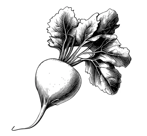 Ředkvička Zeleninová Skica Ručně Kreslené Kresleném Stylu Ilustrace — Stockový vektor