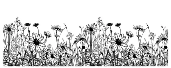 Esquisse Bordure Fleurs Sauvages Dessinée Main Dans Une Illustration Style — Image vectorielle