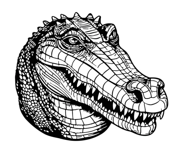 Crocodile Κεφάλι Σκίτσο Χέρι Που Doodle Στυλ Εικονογράφηση Γελοιογραφία — Διανυσματικό Αρχείο