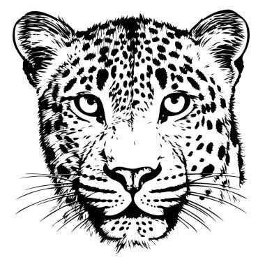 Leopar baş eskiz elle çizilmiş Vektör çizimi Vahşi Hayvanlar