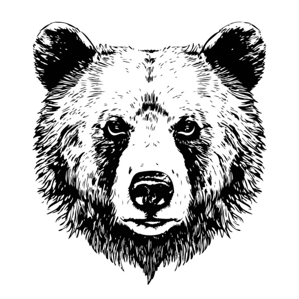 Niedźwiedź Głowa Szkic Strony Rysowane Stylu Doodle Ilustracja — Wektor stockowy
