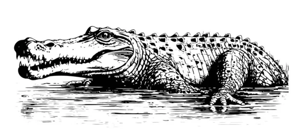 Krokodyl Szkic Strony Rysowane Stylu Doodle Ilustracja Kreskówka — Wektor stockowy