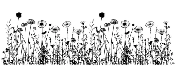 Meadow Wildflowers Okraj Ručně Kreslený Náčrt Kresleném Stylu Ilustrace — Stockový vektor