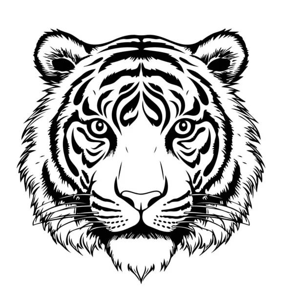 Tiger Cabeça Esboço Mão Desenhada Estilo Doodle Vector Ilustração Artoon — Vetor de Stock