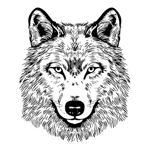 Wolf Retrato Esboço Mão Desenhada Estilo Doodle Animais Selvagens Ilustração —  Vetores de Stock