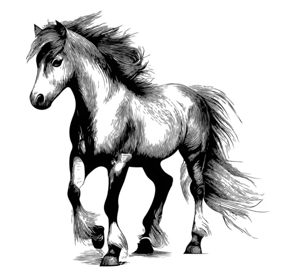 站在马的手绘草图的涂鸦风格插图 — 图库矢量图片