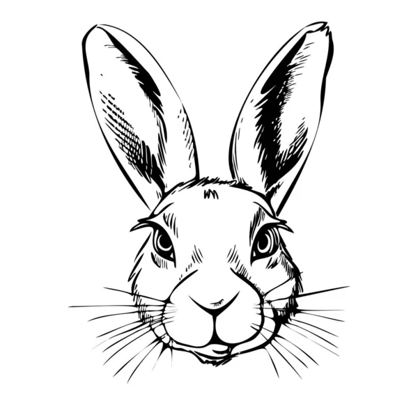 Ескіз Обличчя Кролика Намальований Стилі Каракулі Ілюстрація Мультфільм — стоковий вектор