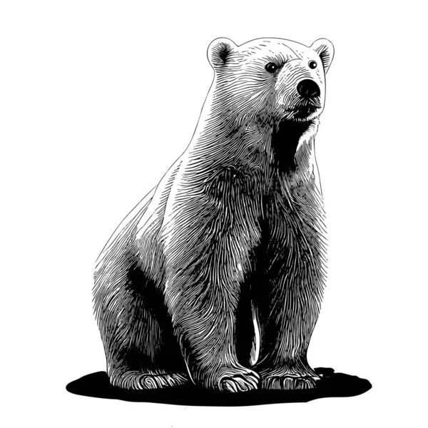 北极熊素描手绘涂鸦风格图解 — 图库矢量图片