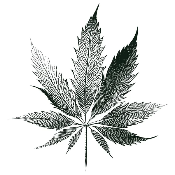 Schizzo Foglie Marijuana Disegnato Mano Stile Doodle Illustrazione — Vettoriale Stock