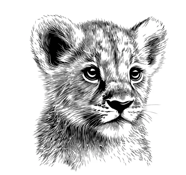 Desenho Desenhado Mão Filhote Leão Ilustração Estilo Doodle — Vetor de Stock