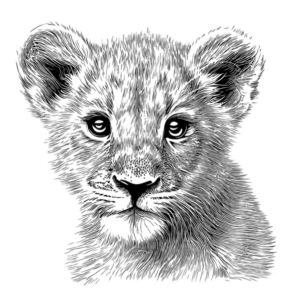 Lion Cub Face Hand Drawn Sketch Doodle Style Illustration — Stock Vector
