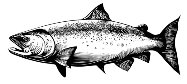 Disegno Pesce Salmone Disegnato Mano Stile Scarabocchio Illustrazione — Vettoriale Stock