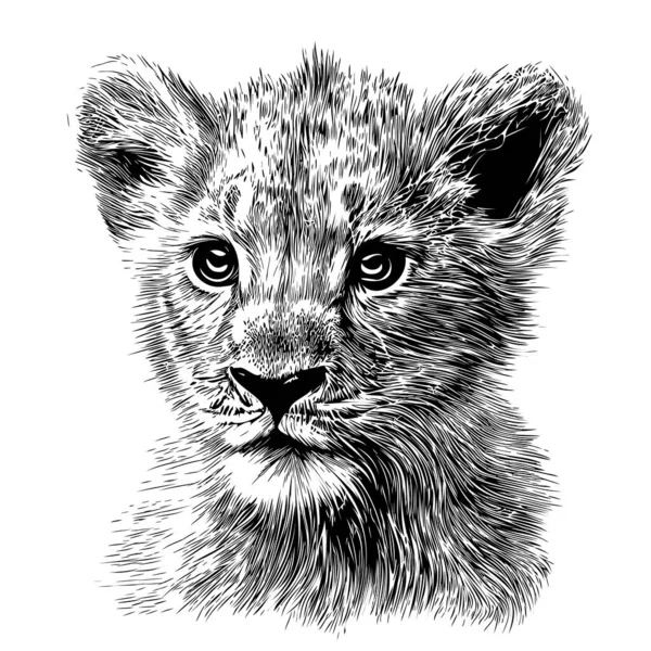 Löwenjunge Kopf Handgezeichnete Skizze Doodle Stil Illustration — Stockvektor
