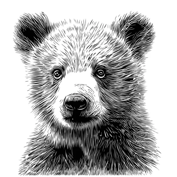 Cute Little Bear Portrait Sketch Hand Drawn Realistic Style — Stock Vector