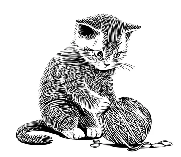 Котёнок Играет Нарисованным Шариком Эскизом Стиле Каракулей — стоковый вектор