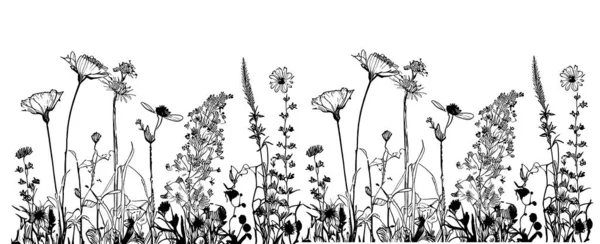 Kır Çiçekleri Kusursuz Sınır Çizimi Çizimi Çizimi Karalama Stili Resimle — Stok Vektör