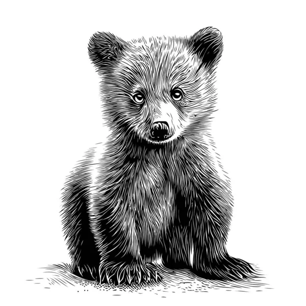Bonito Urso Animal Sentado Mão Desenhada Esboço Estilo Doodle Ilustração —  Vetores de Stock