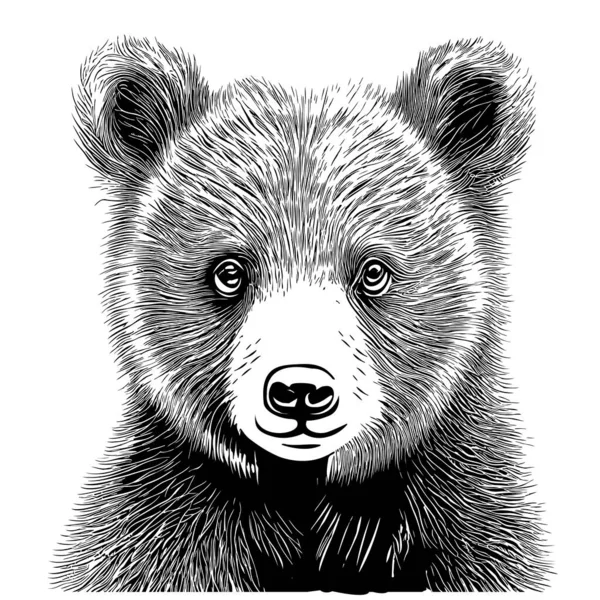 Bonito Animal Urso Filhote Rosto Desenhado Mão Esboço Doodle Estilo — Vetor de Stock