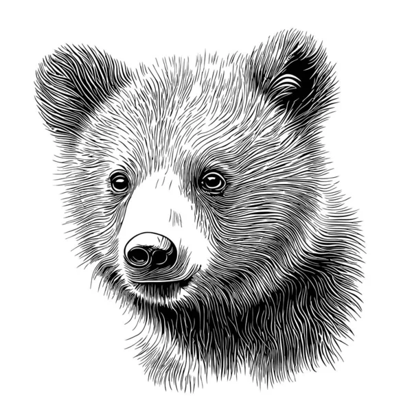Bonito Animal Urso Filhote Rosto Desenhado Mão Esboço Doodle Estilo —  Vetores de Stock