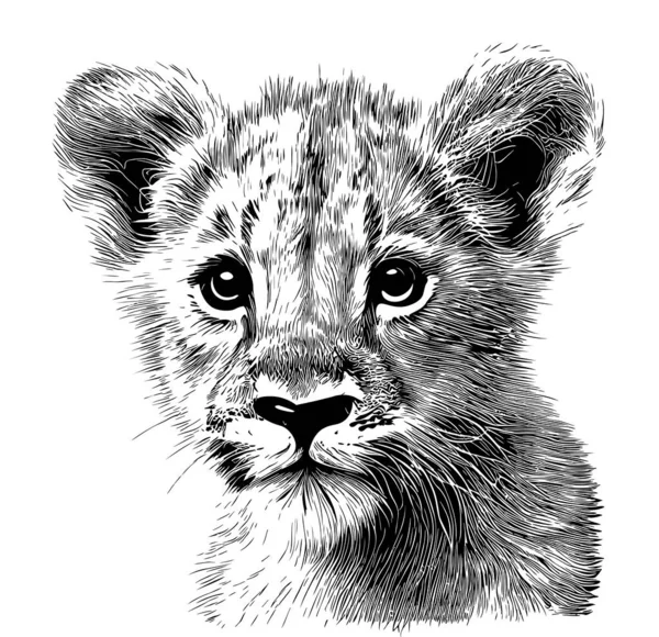 Handgezeichnete Skizze Des Kleinen Löwenjungen Doodle Stil — Stockvektor