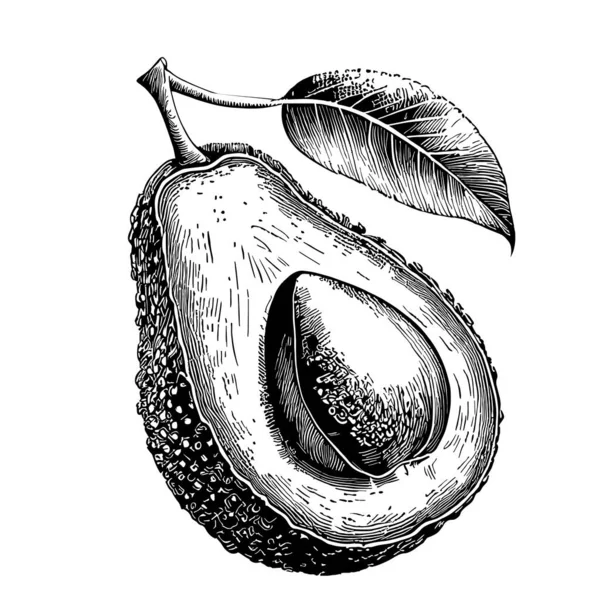Eine Halbe Avocado Handgezeichnete Skizze Gemüse Und Früchte Illustration — Stockvektor