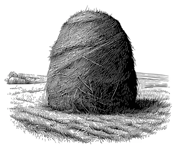 Haystack Φύση Σκίτσο Χέρι Ζωγραφισμένα Σκίτσο Εικόνα — Διανυσματικό Αρχείο