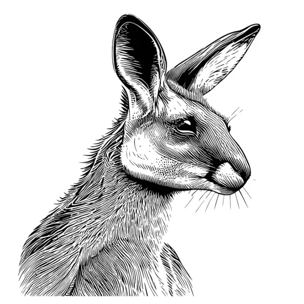 Kangaroo Πρόσωπο Ζώο Χέρι Σχέδιο Εικονογράφηση Σκίτσο — Διανυσματικό Αρχείο