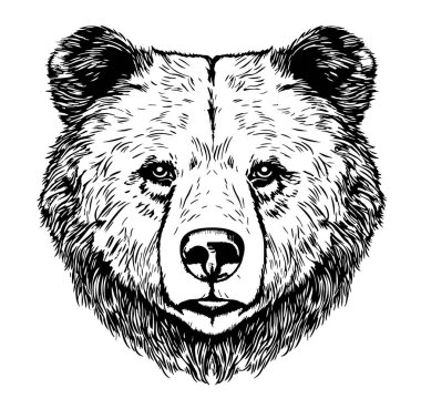 Cute animal bear face hand drawn sketch in doodle style illustration clipart