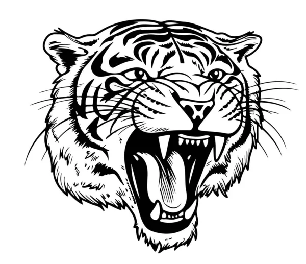 Gesicht Des Knurrenden Tigers Handgezeichnete Skizze Illustration — Stockvektor