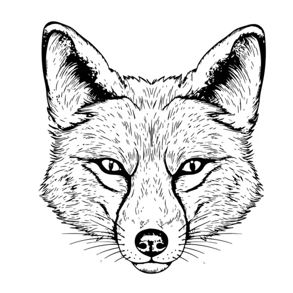 Beautiful Fox Portrait Sketch Hand Drawn Comic Style Illustration — Stock Vector