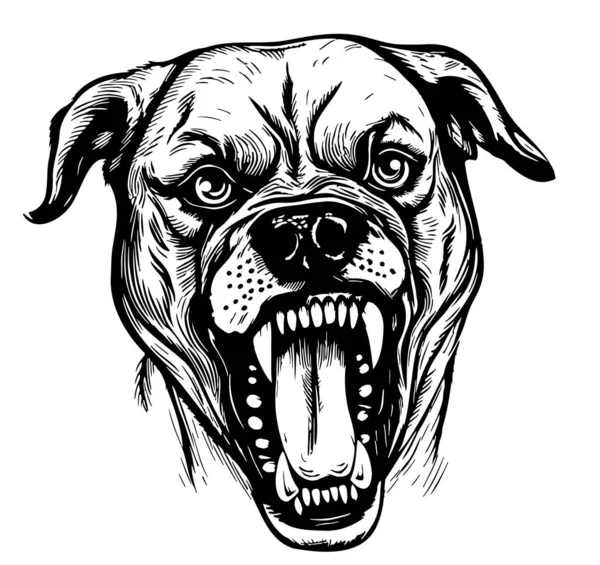 Angry Dog Head Croquis Dessiné Main Illustration Vectorielle Animaux Compagnie — Image vectorielle