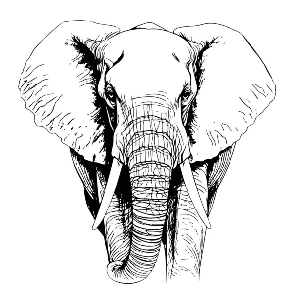 Éléphant Marchant Croquis Dessiné Main Illustration Vectorielle Animaux Sauvages — Image vectorielle