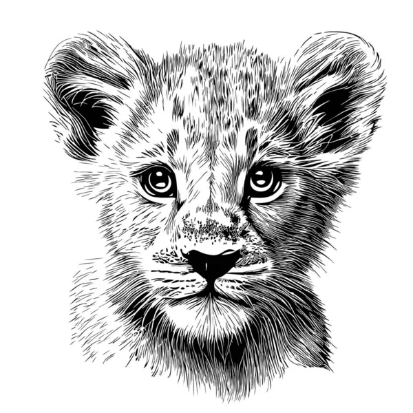 Mignon Petit Lion Visage Croquis Dessiné Main Dans Illustration Style — Image vectorielle