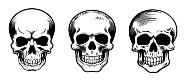 Conjunto Cráneos Boceto Dibujado Mano Día Muerte Vector — Vector de stock