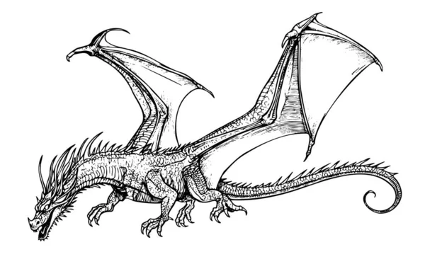 Dragon Aanvallende Schets Getekend Doodle Stijl Illustratie — Stockvector
