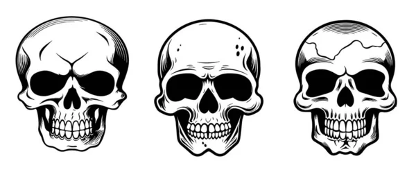 Conjunto Cráneos Boceto Dibujado Mano Día Muerte — Vector de stock