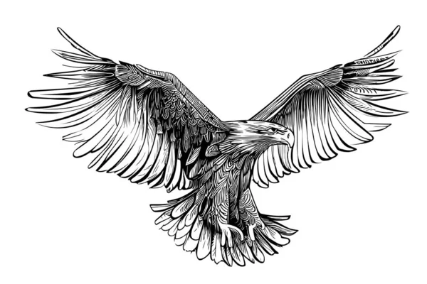 展翅鹰素描手绘刻字风格图解 — 图库矢量图片