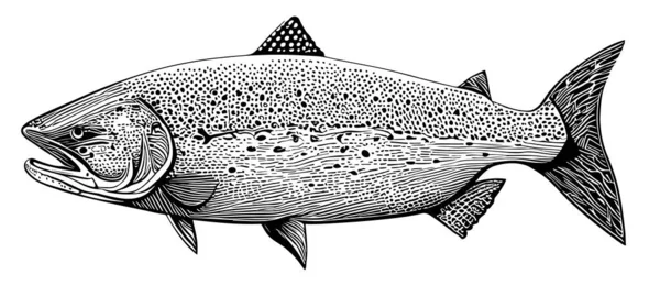 Schizzo Pesce Salmone Frutti Mare Animali Marini Vettore — Vettoriale Stock