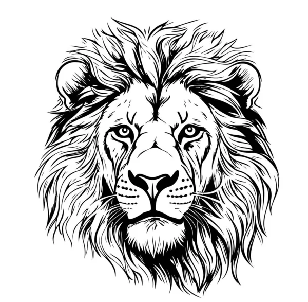 Lví Tvář Komické Ručně Kreslený Náčrt Ilustrace Safari Zvířata — Stockový vektor