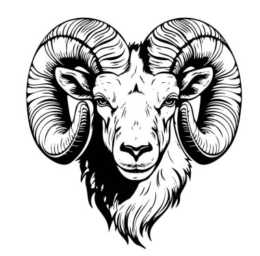 Mountain ram face hand drawn sketch Vector clipart