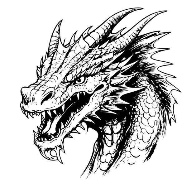 Dragon Πορτρέτο Κινούμενο Σχέδιο Χέρι Διάνυσμα Άγρια Ζώα — Διανυσματικό Αρχείο