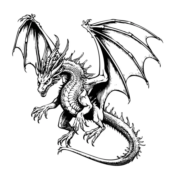ドラゴン攻撃者 手描きのスケッチベクターイラスト 野生動物 — ストックベクタ