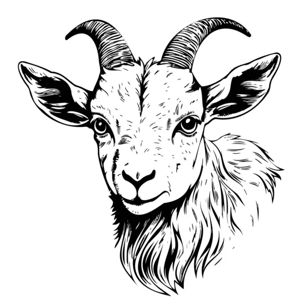 Farm Cute Goat Kid Hand Drawn Sketch Vector Animals — Stock Vector