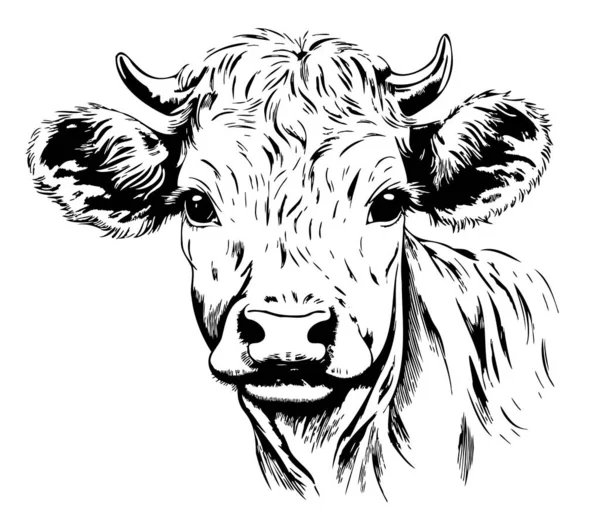 小さなカルフ農場の動物のスケッチ手描きベクター — ストックベクタ