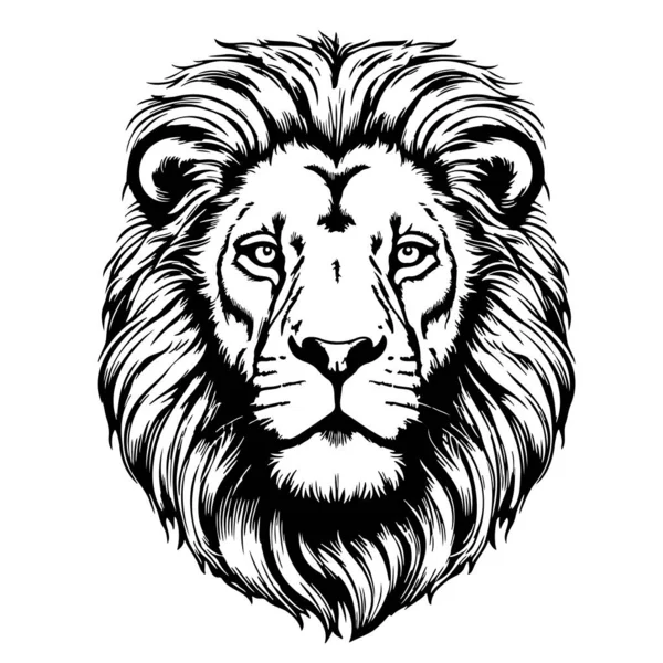 Lví Tvář Kreslený Ručně Kreslený Skica Vektor Safari Zvířata — Stockový vektor
